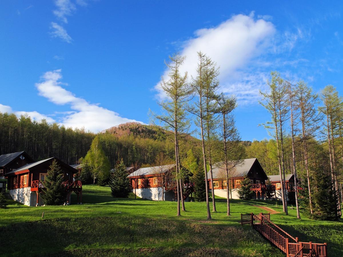 Log Hotel Larch Lake Kanayama Мінамі-Фурано Номер фото
