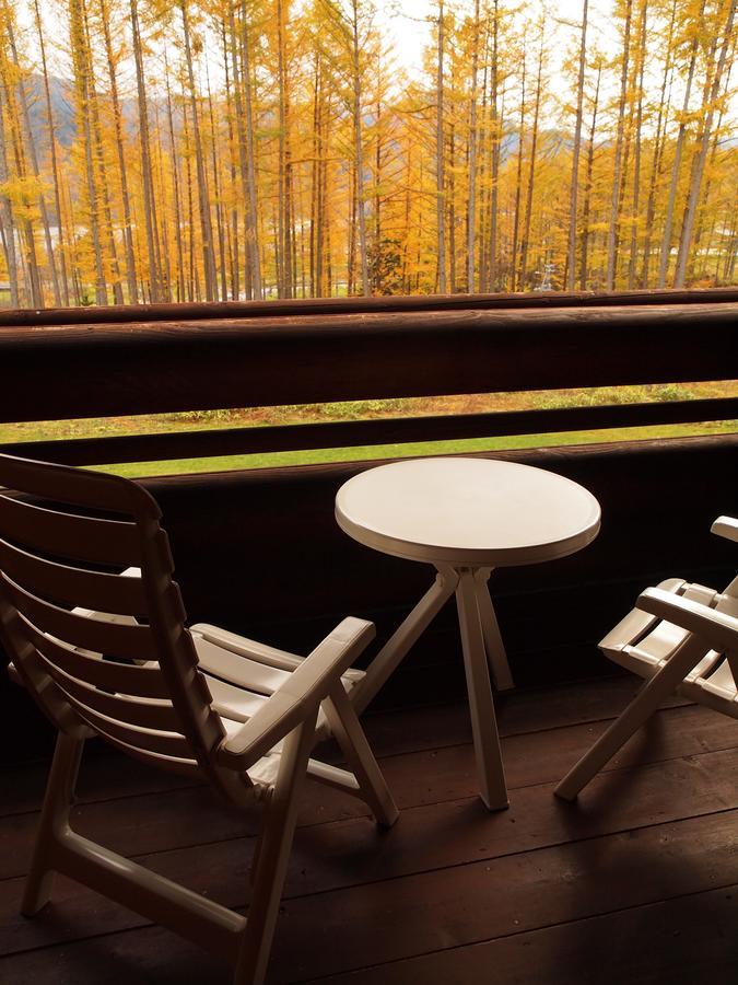 Log Hotel Larch Lake Kanayama Мінамі-Фурано Номер фото